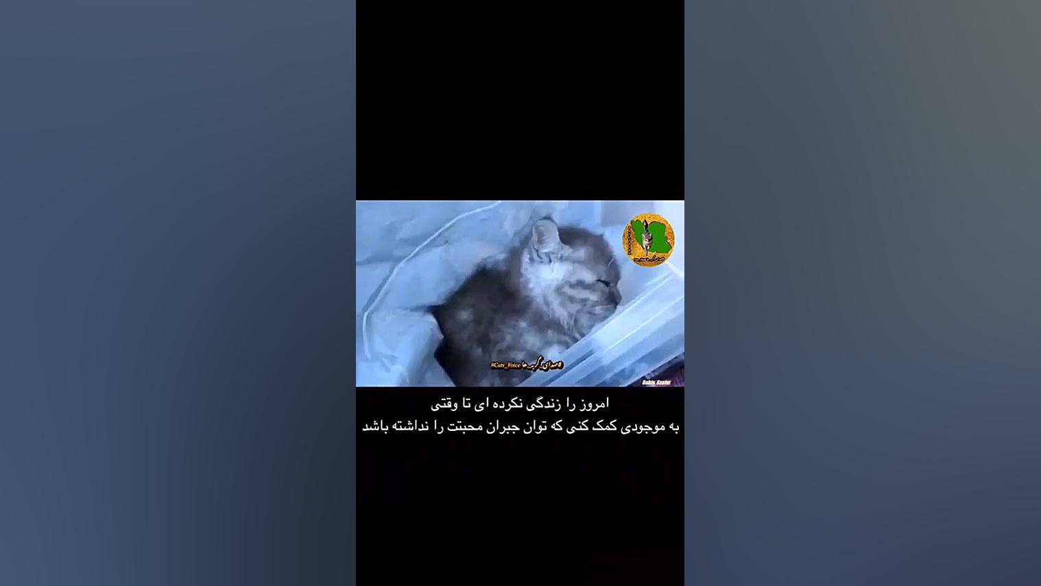 امروزرازندگی نکرده ای تاوقتی ب...