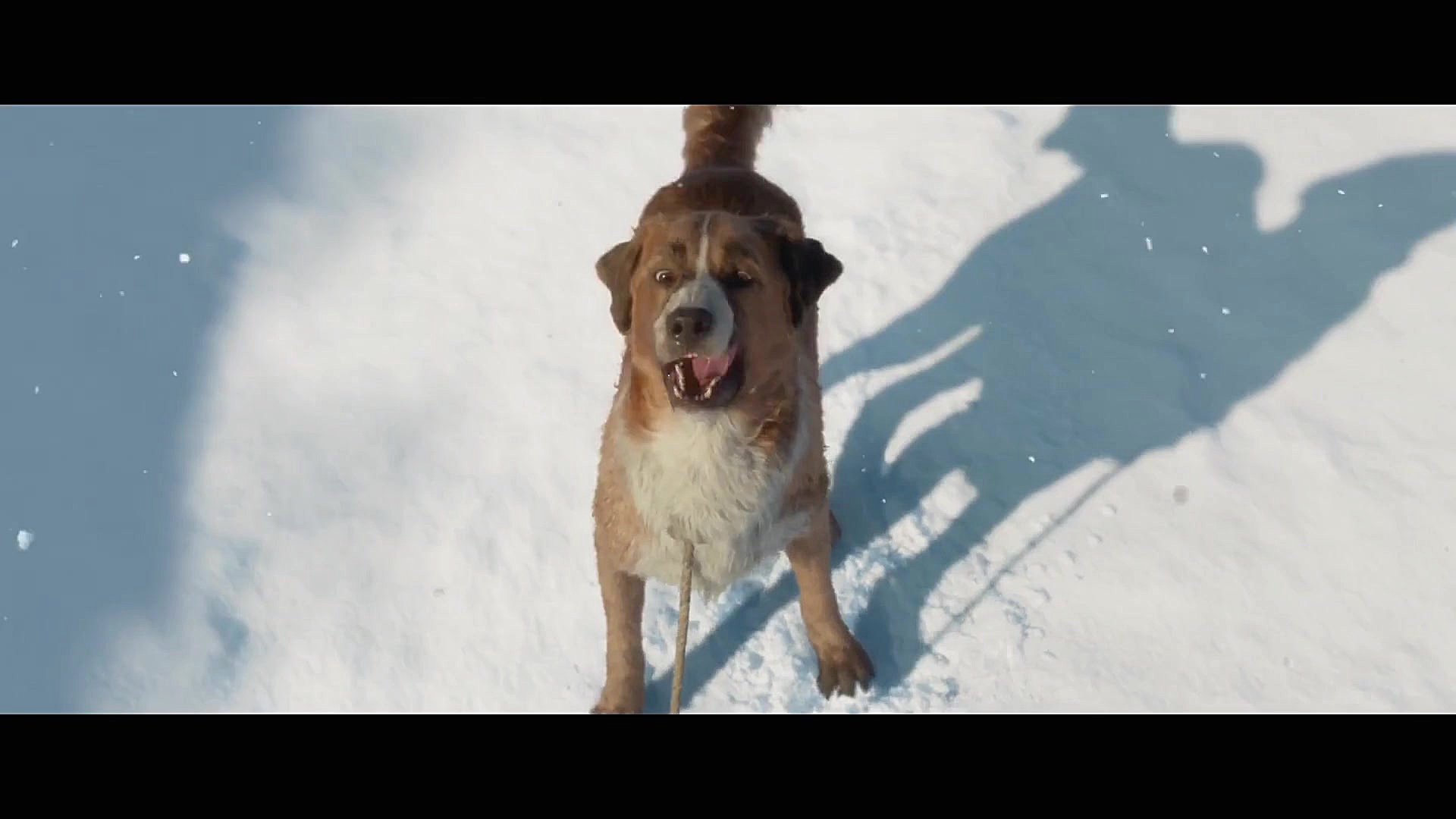 تریلر فیلم سینمایی آوای وحش ۲۰...