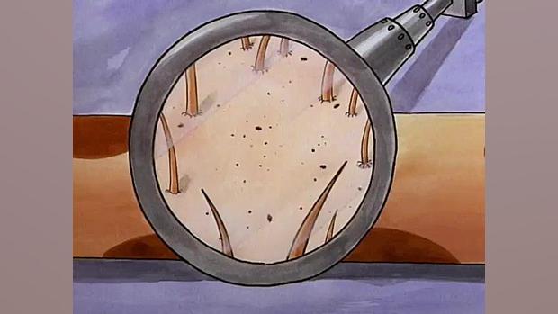 کارتون گربه سگ فصل 1 قسمت 1