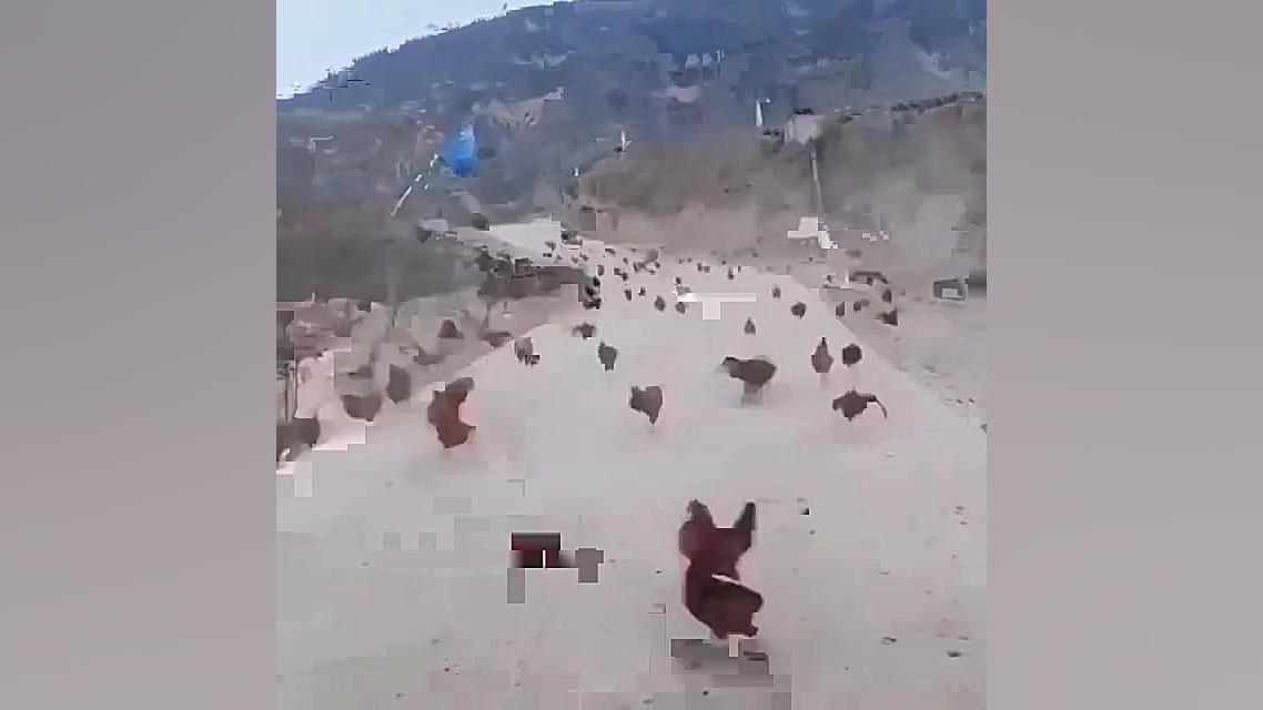 بنزین گرون شد!؟