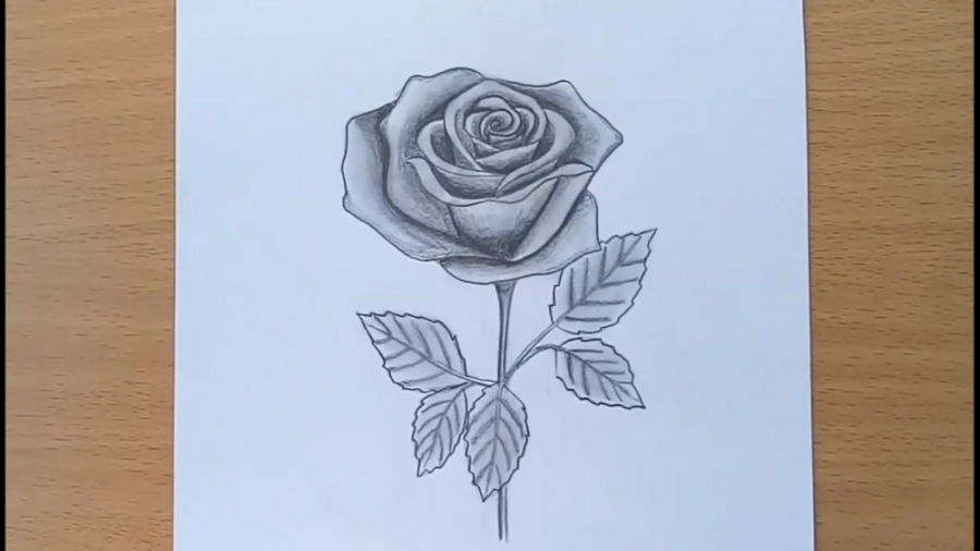 آموزش نقاشی گل رز