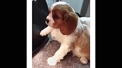 خنده دار ترین و باحال ترین کلی...