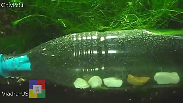 آموزش ساخت تله حلزون