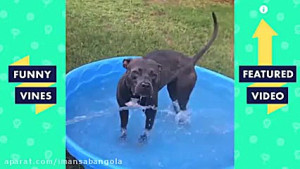 جدید ترین کلیپ های خنده دار و...