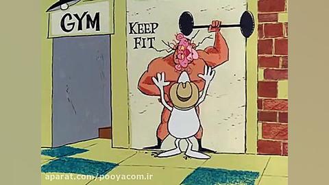 پلنگ صورتی  29