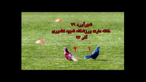 تماشای داربی 79 پایتخت در خانه...