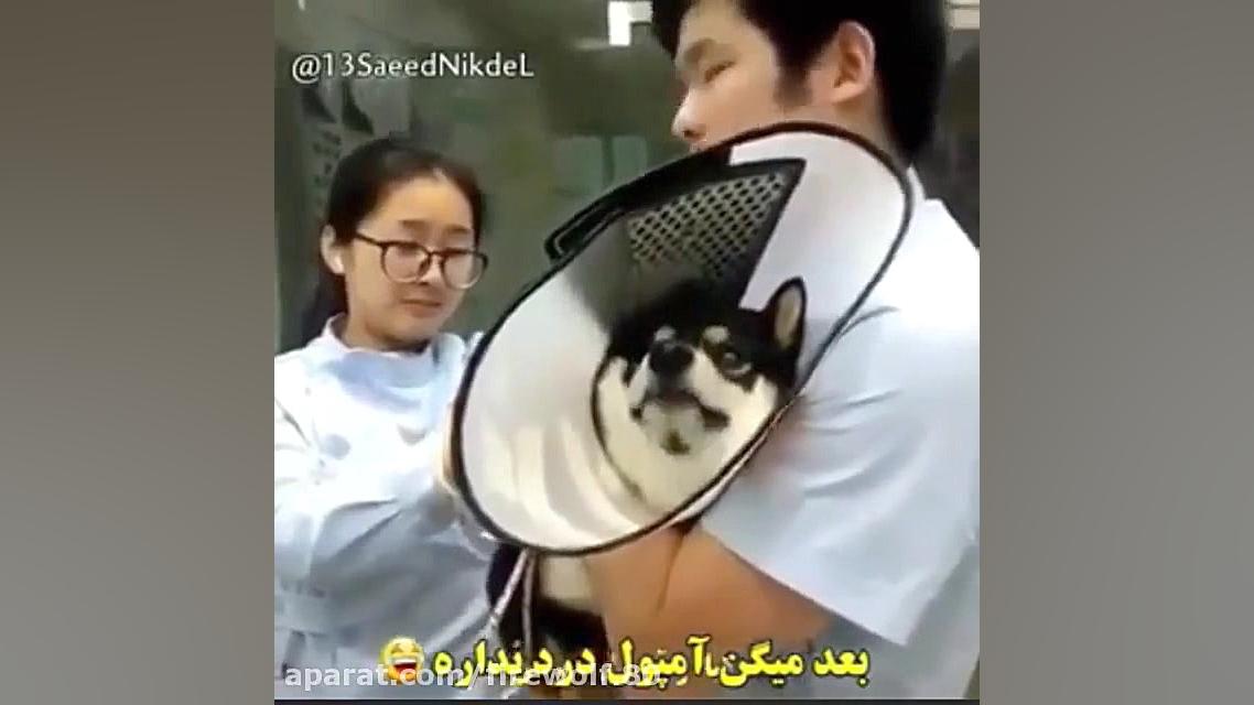 کیا میگن امپول درد نداره