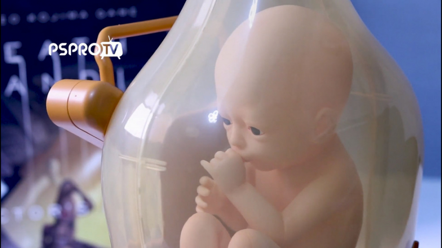 نگاه نزدیک به نسخه کالکتور Dea...