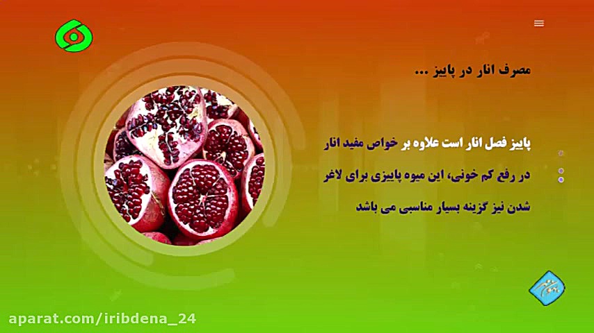 بهون مهر  زندگی سالم  انار