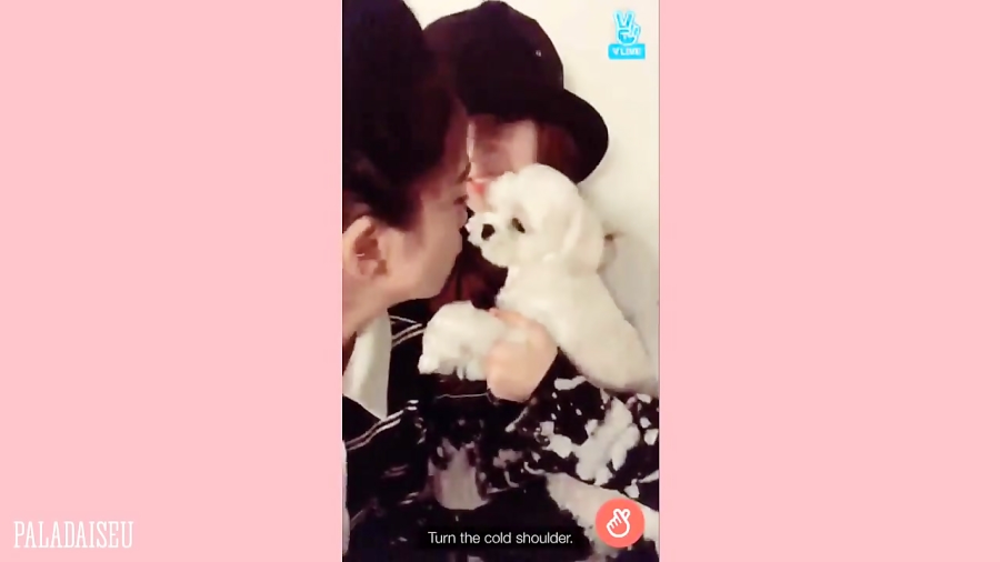  فانی مومنت لیسو