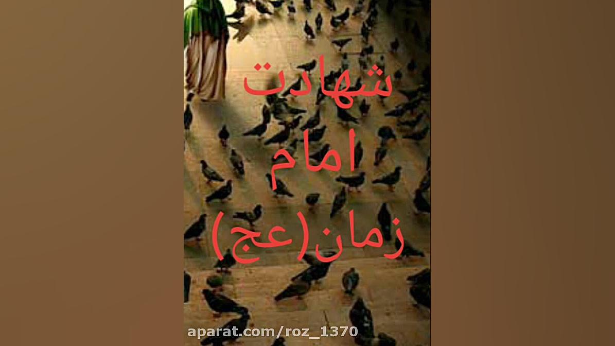 شهادت امام زمان(عج)