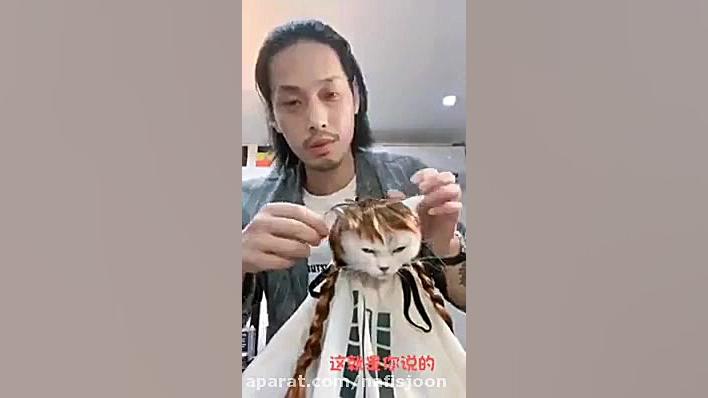 آرایشگاه حیوانات