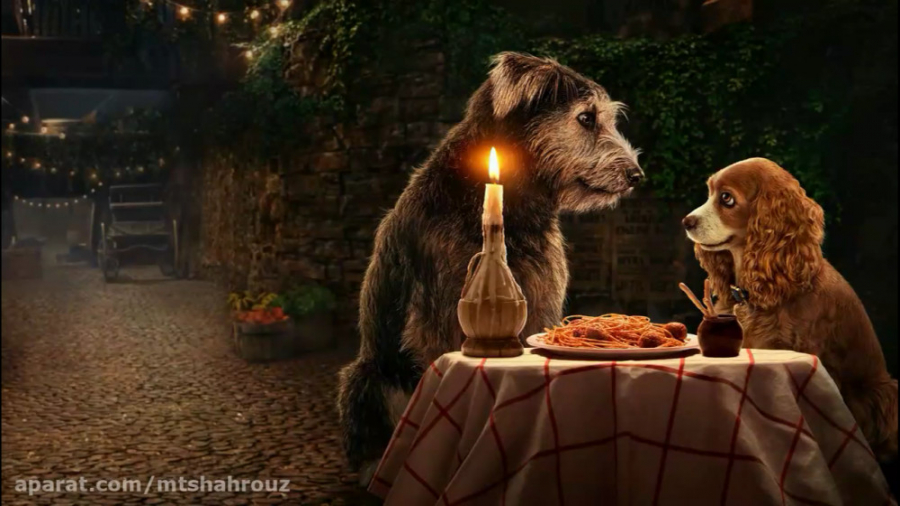 Lady and deals the tramp 2019