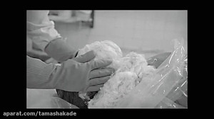 استاد دانشمند مرگ