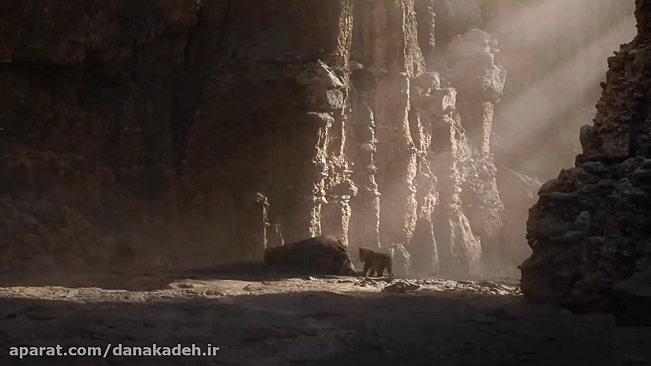 وقتی شیر نر بچه اش را از بوفال...