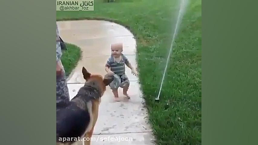 آب بازی سگ و بچه