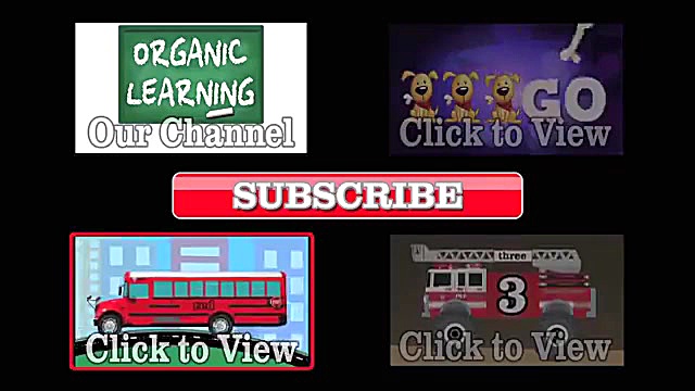 آموزش نام انگلیسی حیوانات برای...