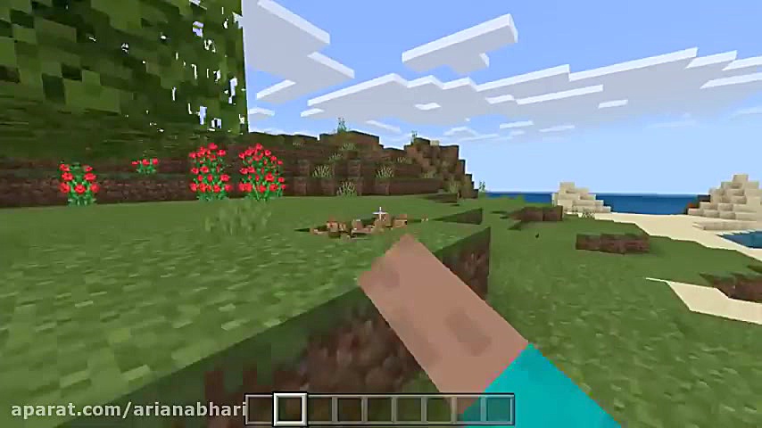 ساخت پورتال TikTok در ماین کرا...