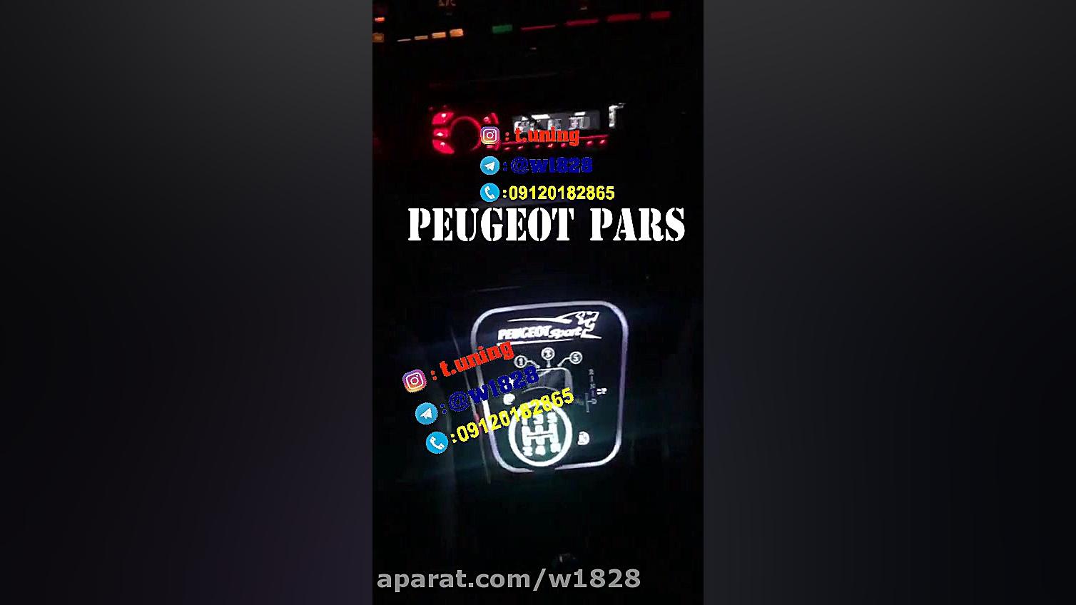 قاب دنده پژو پارس