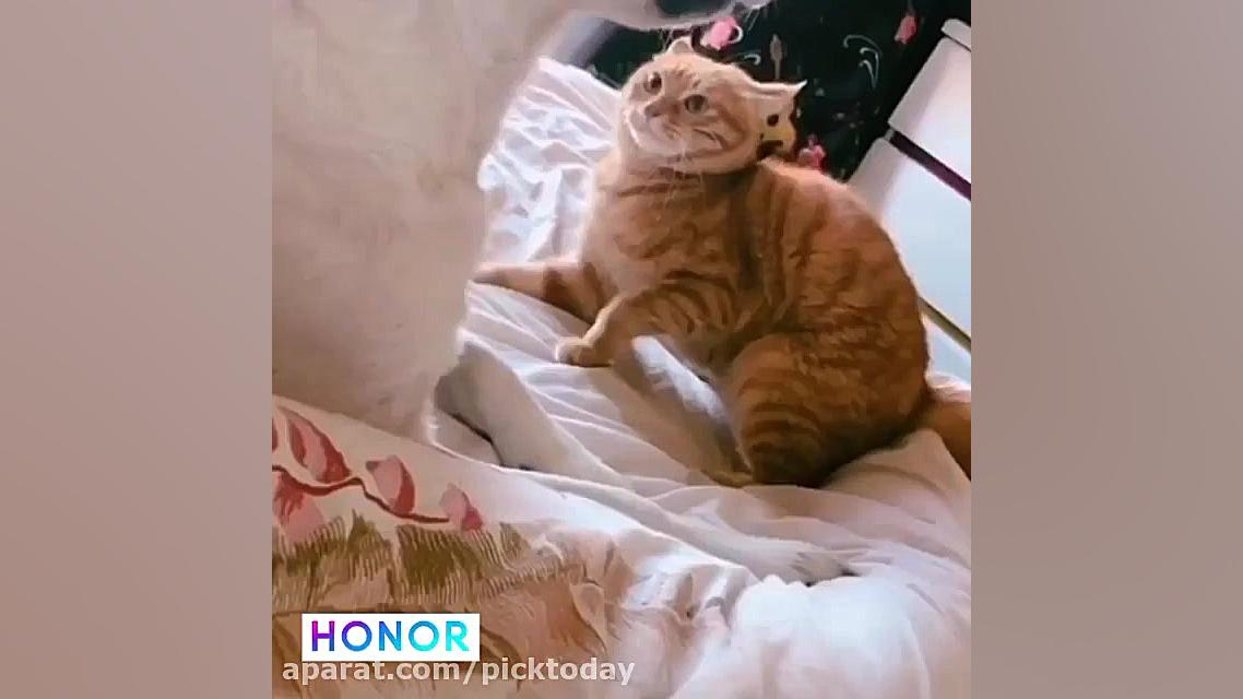 جواد خواجوی : چه بچه رو اعصابی...