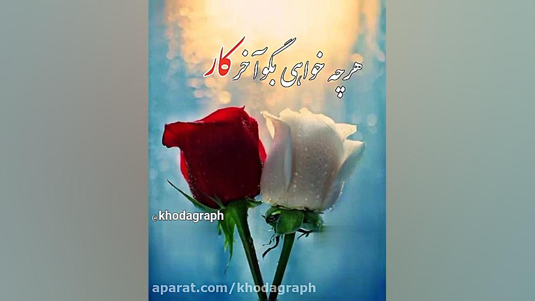 حجت اشرف زاده