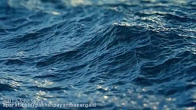 رنگ سال ۲۰۲۰، پیام آور صلح و آ...