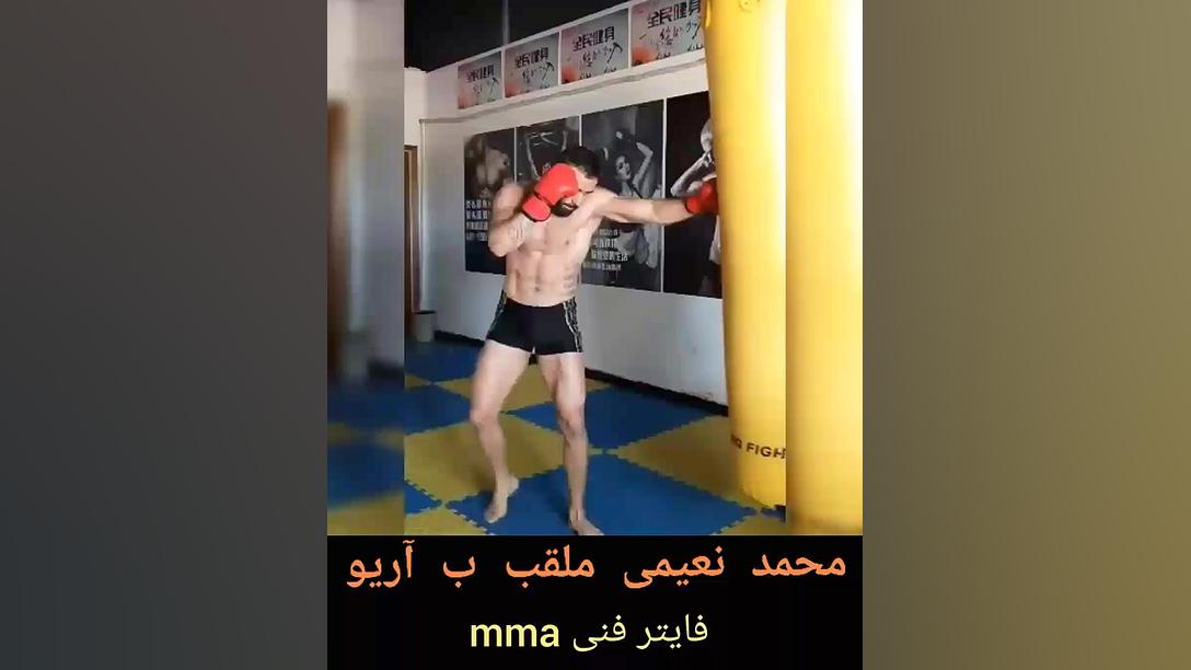 محمد نعیفی فایتر فنی mma