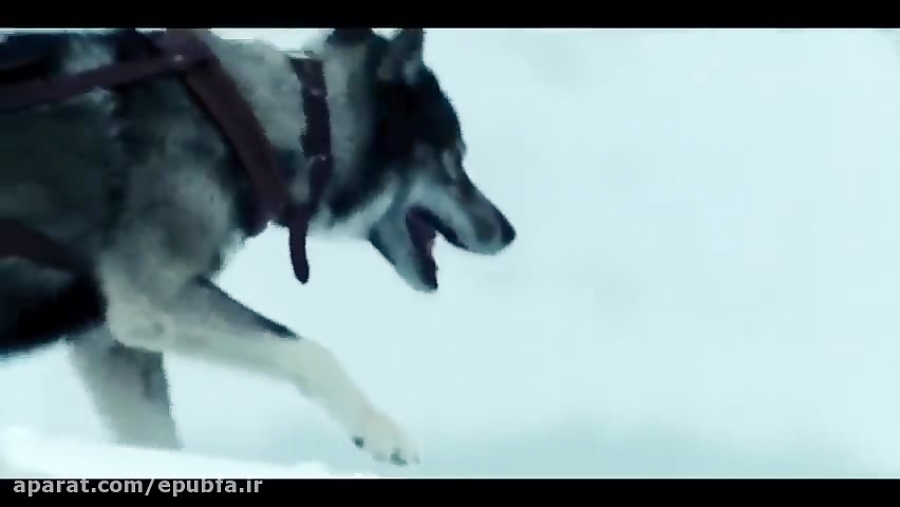 تریلر فیلم سینمایی TOGO