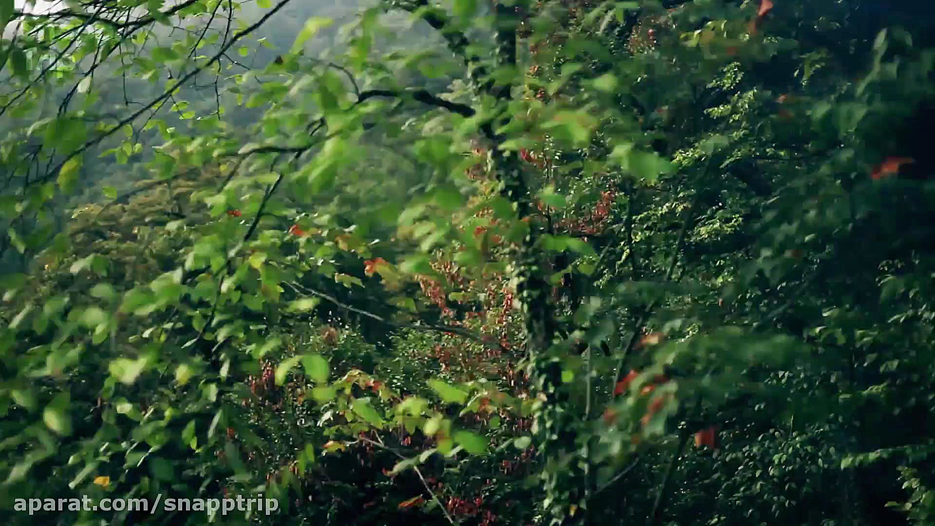 روز جهانی کوهستان