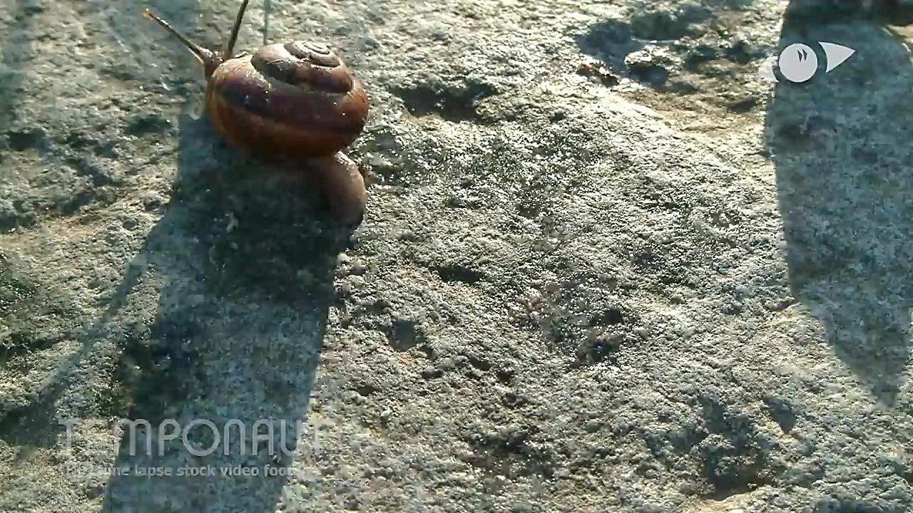 مجموعه تایم لپس شگفت انگیز و ز...