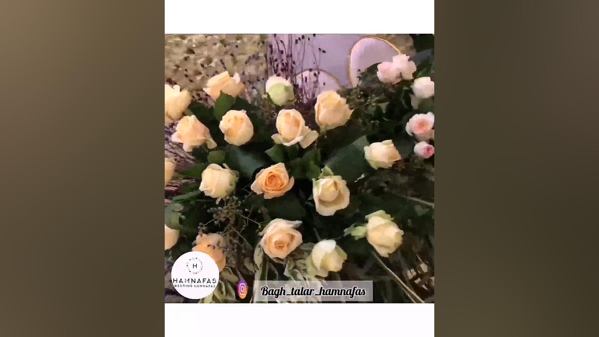 گل آرایی جایگاه عروس و داماد