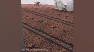 چه با خلوص نماز میخوندن!!خدایا...