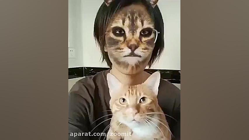 وقتی گربه‌ها با فیلتر گربه آشن...