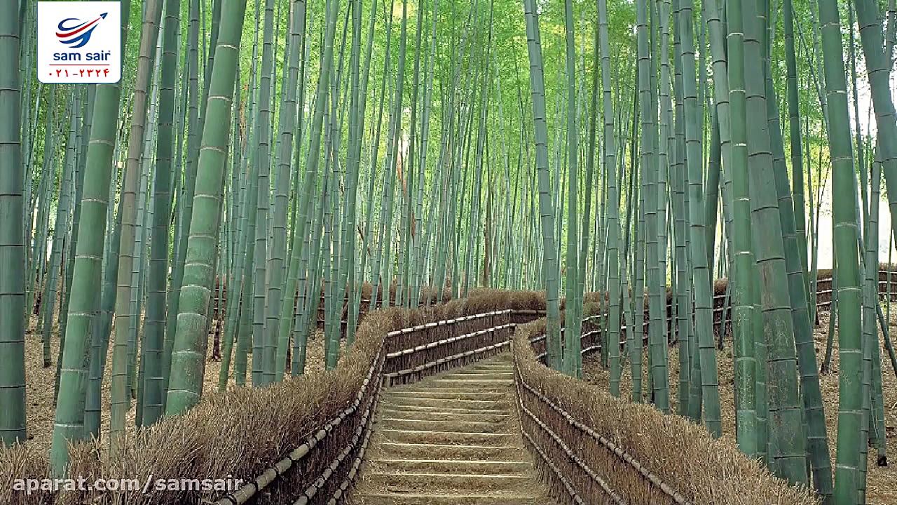 جاذبه های دیدنی و گردشگری ژاپن