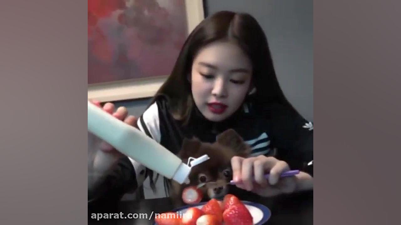 جنی بلک پینک (کیوت من)