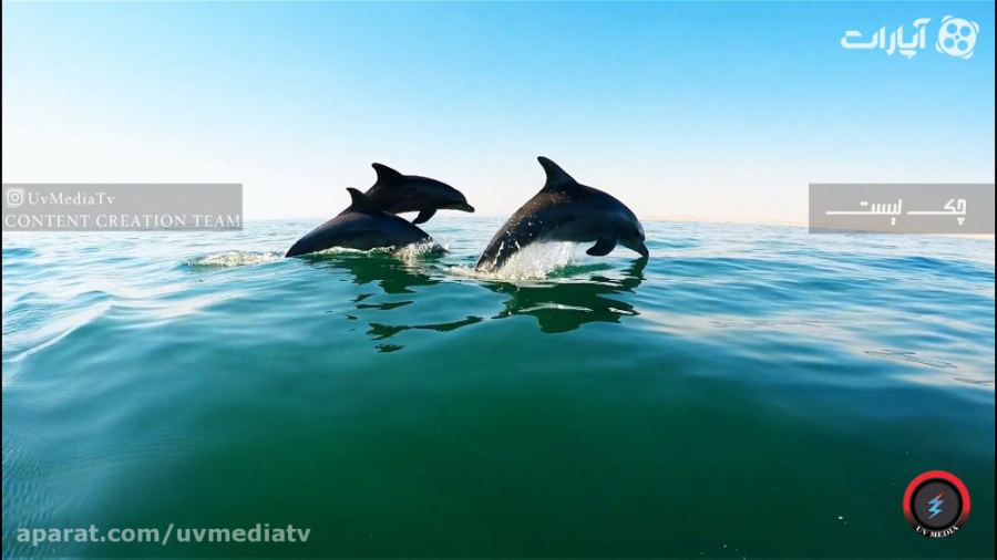 مجموعه &quot;چک لیست&quot;  فص...