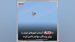 گوشت مهمانان روس در سفره ایران...