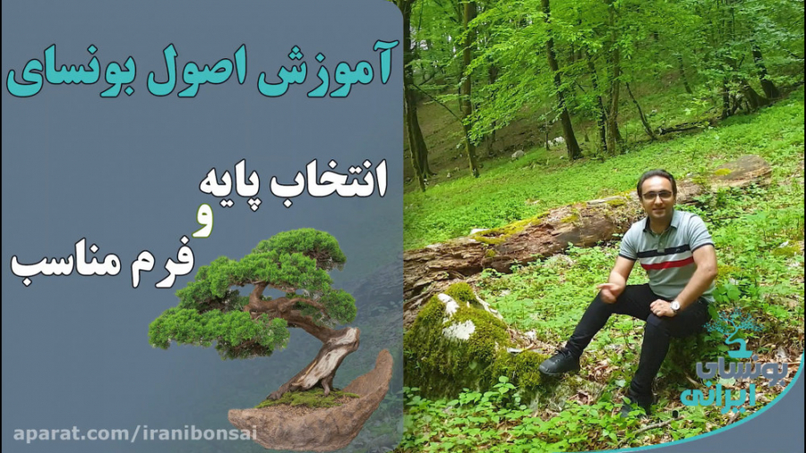 آموزش اصول بونسای اون هم در دل...