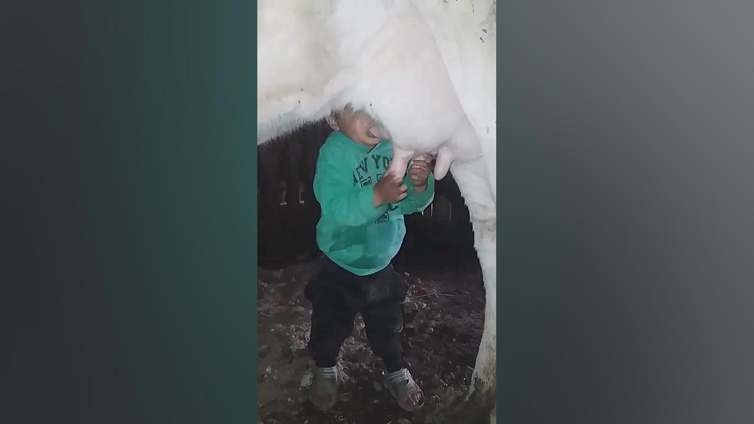 شیر خوردن کودک گرسنه