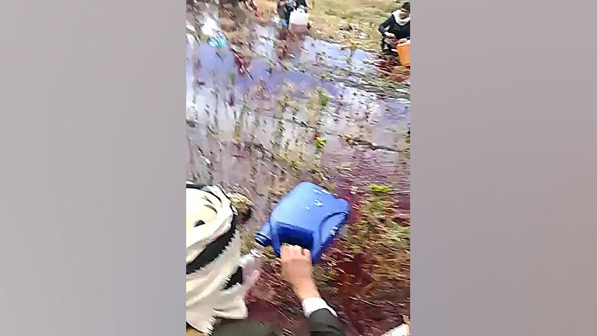 هجوم برای جمع کردن بنزین از رو...