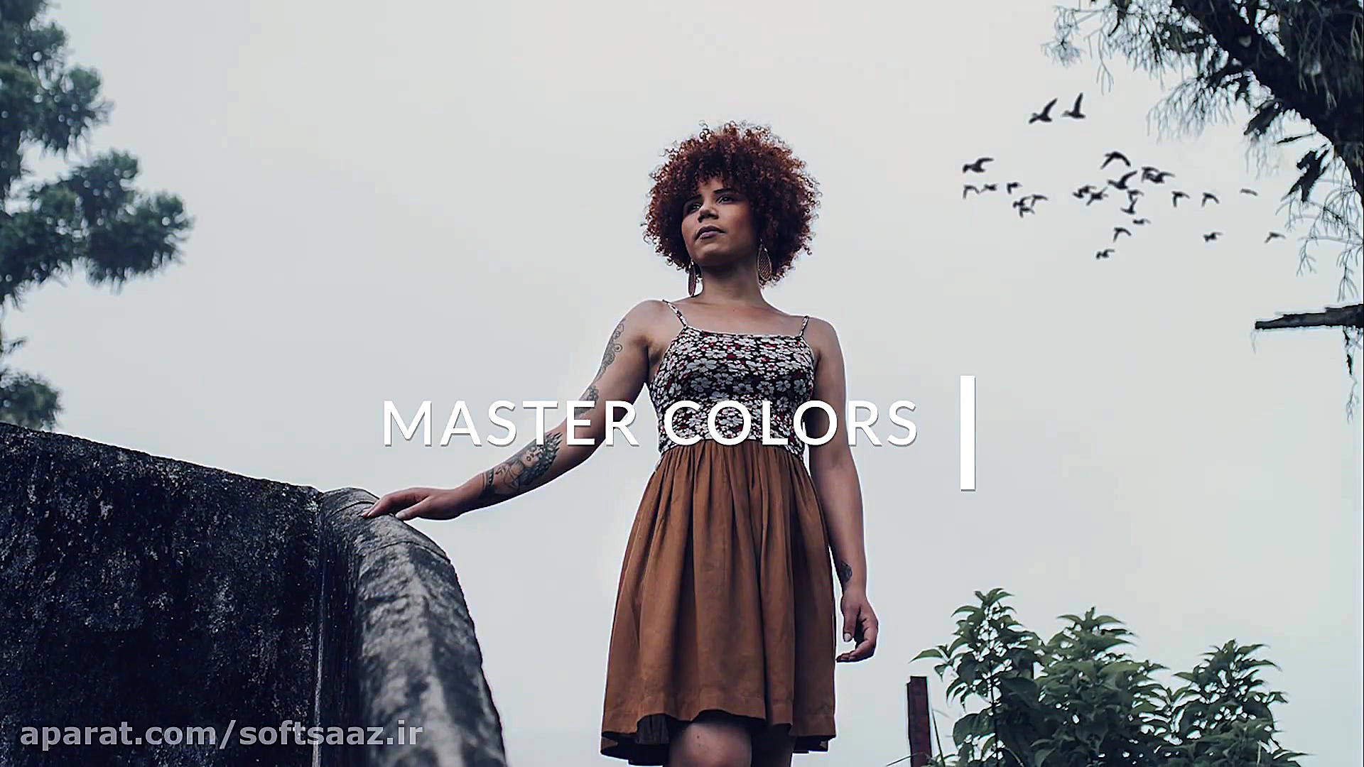 آموزش استادی تنظیمات تنالیته ر...