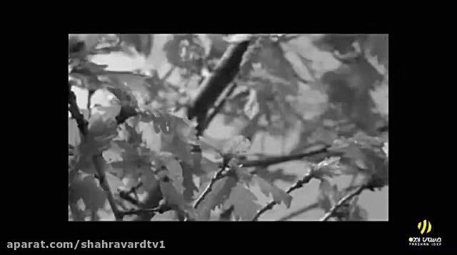 دکلمه شعر عاشقانه زیبا سلام وح...