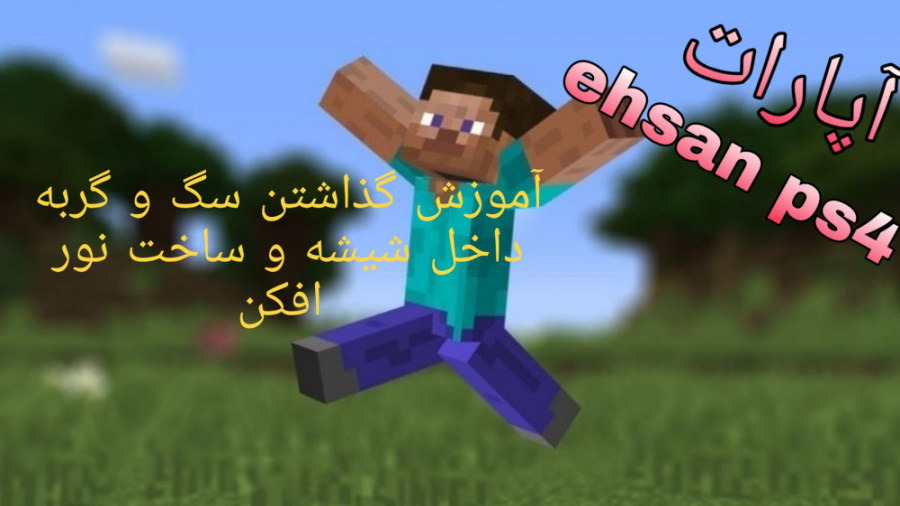 آموزش گذاشتن سگ و گربه داخل شی...