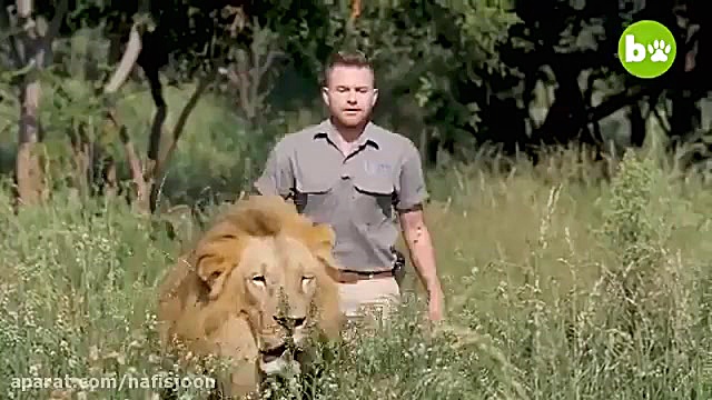 دوستی انسان با حیوانات وحشی!35...