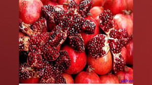 شب یلدا علی مولایی