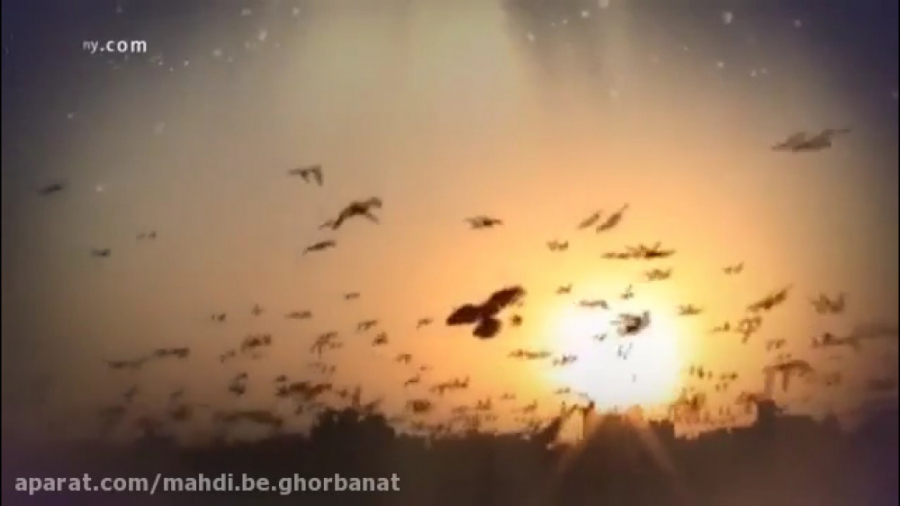 کلیپ شیدایی یک عاشق غصه من فدا...