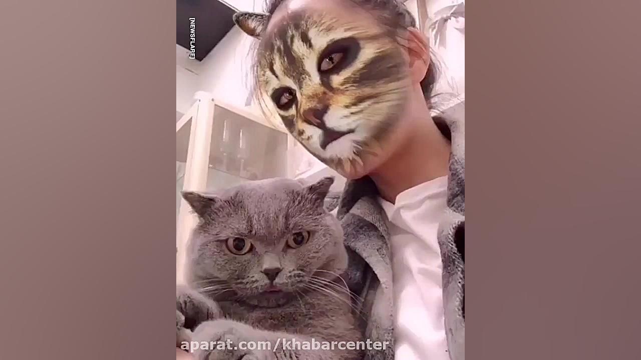 فیلتر اسنپ چت و تعجب گربه ها