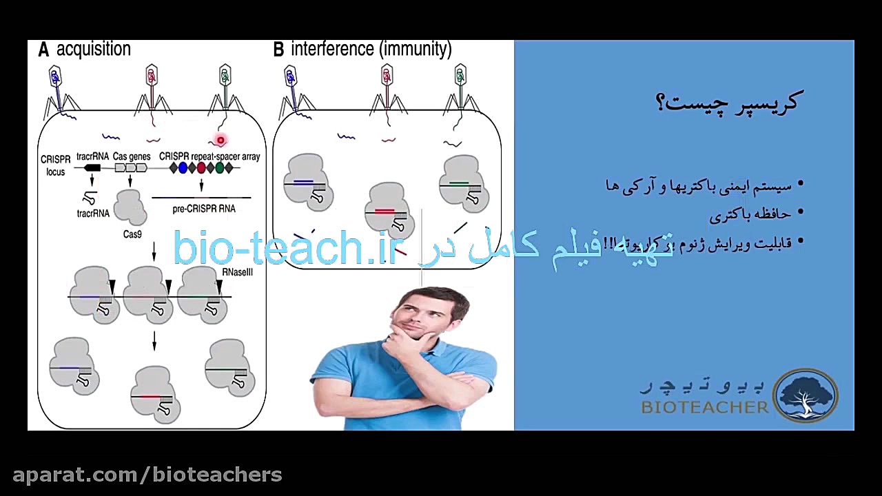 فیلم آموزشی طراحی gRNA برای کر...