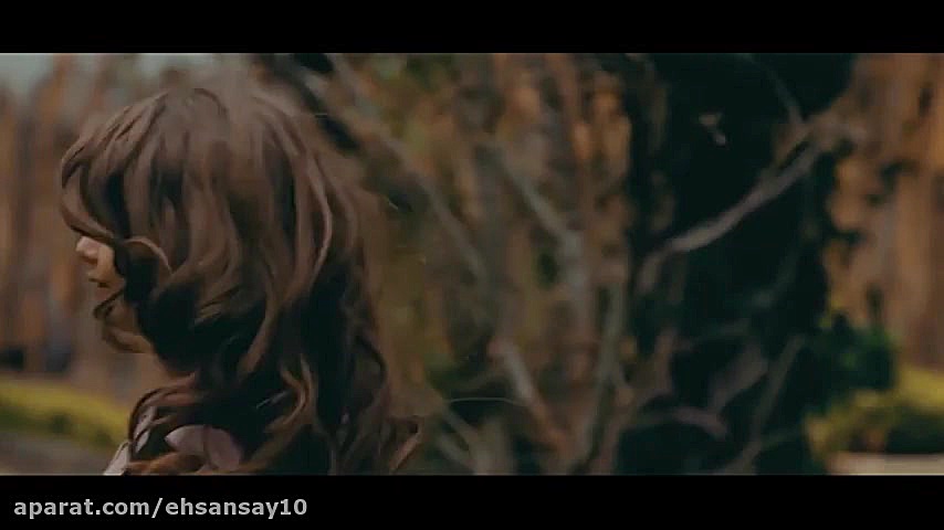 حسن اقا میری