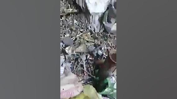 ارزش پول ملی در اوارق فروشی ها